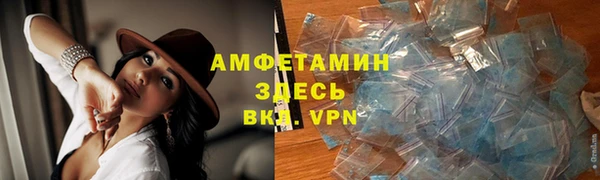 Альфа ПВП Каменка