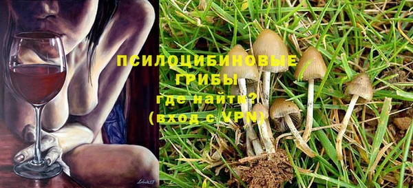 Альфа ПВП Каменка