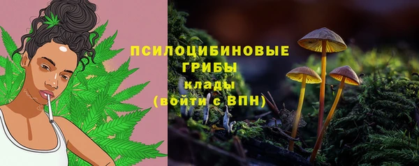 Альфа ПВП Каменка