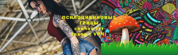 a pvp Каменск-Шахтинский