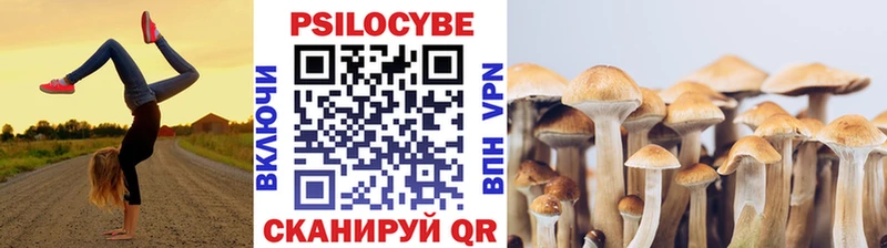 Псилоцибиновые грибы ЛСД  Купить где  Кандалакша 